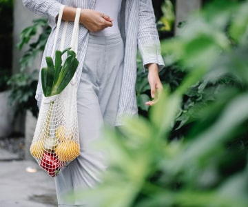 Woman With the Net of the Fruits